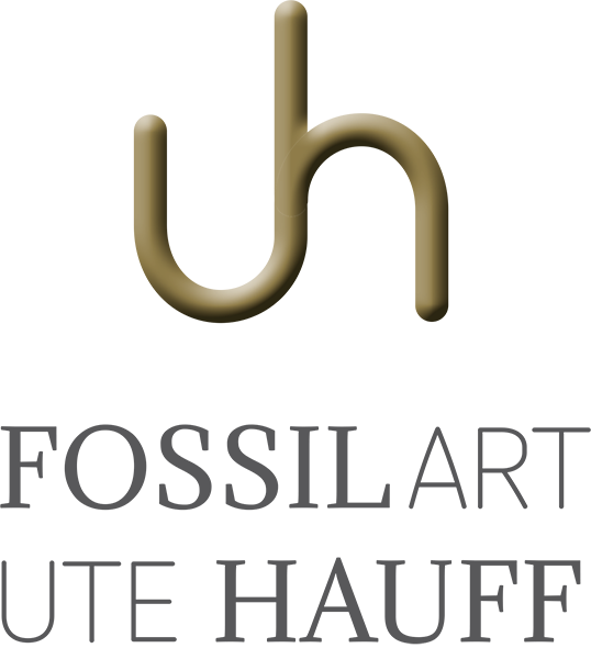 Ute Hauff | fossil art Logo